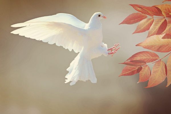 Colom de la pau | © Vatican News