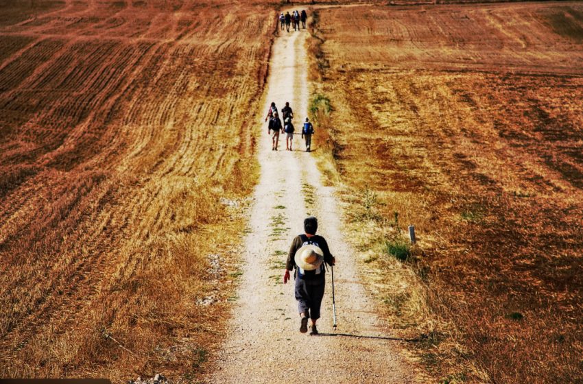  Sinodalitat i profetisme avui