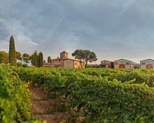 La vinya del senyor, a Reus