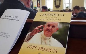 L'encíclica Laudato Si, publicada l'any 2015