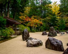 Jardí Zen japonès