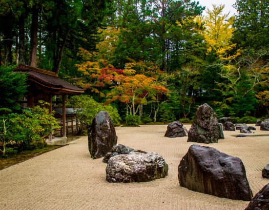Jardí Zen japonès