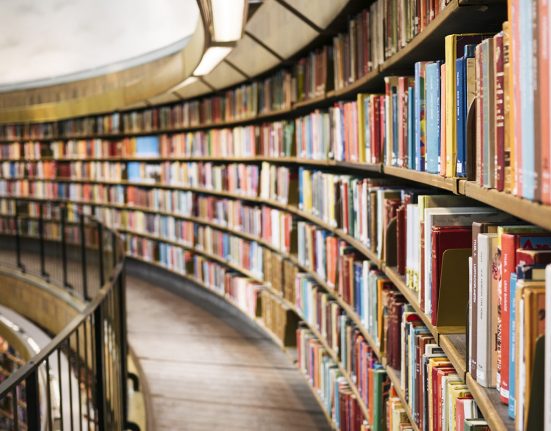 Imatge d’una biblioteca | © Susan Q Yin – Unsplash