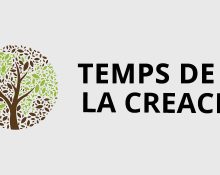 Temps de la creació