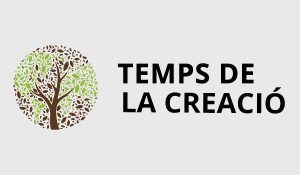 Temps de la creació
