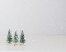 Tres arbres petits de Nadal