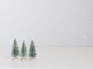 Tres arbres petits de Nadal