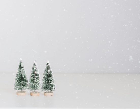 Tres arbres petits de Nadal | © Sincerely Media - Unsplash