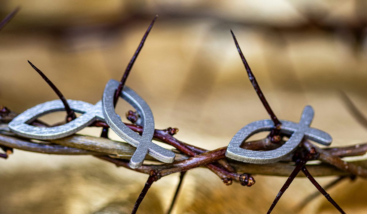 Una corona d'espines amb uns peixos | © Marek Studzinski - Unsplash