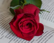 Novel·la històrica, poesia i filosofia: Recomanacions de ‘Foc Nou’ per Sant Jordi 2025
