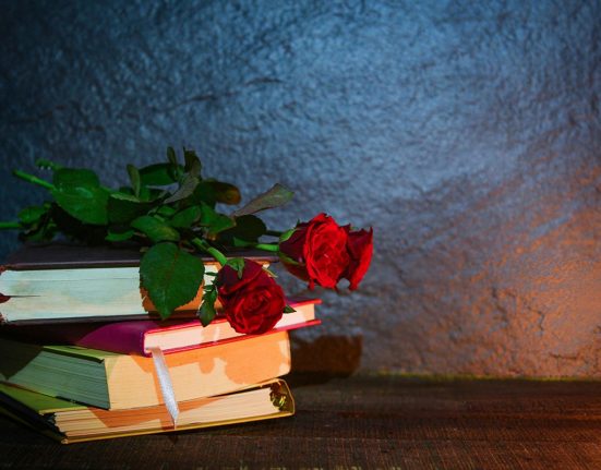 Novel·la històrica, poesia i filosofia: Recomanacions de Foc Nou per Sant Jordi 2025