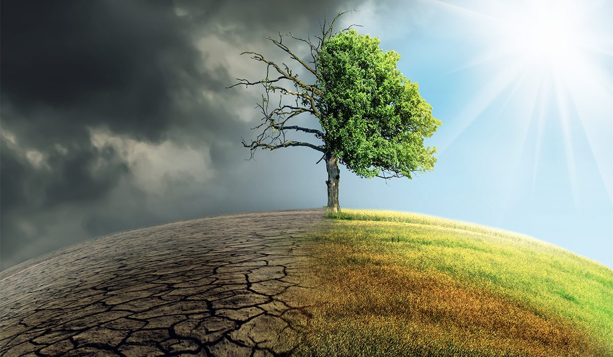 10 anys de Laudato si’