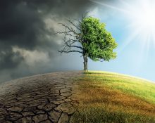 10 anys de Laudato si’