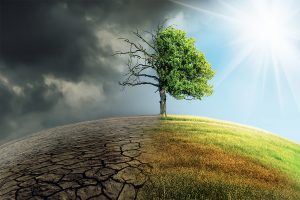 10 anys de Laudato si’