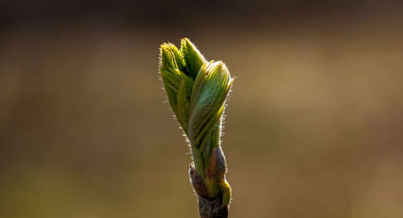 © Nikita Nikitenko - Unsplash