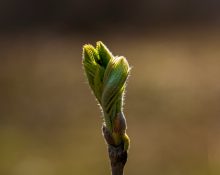 © Nikita Nikitenko - Unsplash