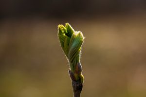 © Nikita Nikitenko - Unsplash