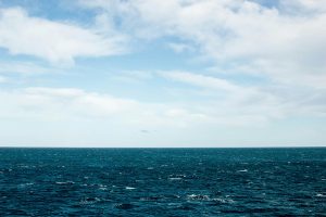 © Stephen Crowley - Unsplash
