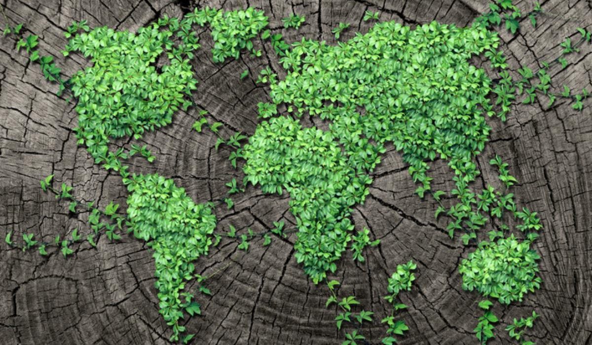 Una ecologia integral reconeix en les religions un patrimoni cultural viu