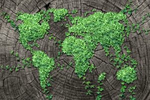 Una ecologia integral reconeix en les religions un patrimoni cultural viu