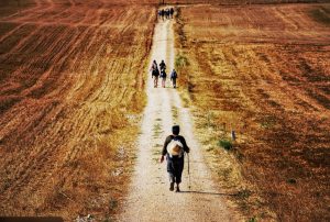 Per a l'experta, "participar en la vida de l’Església significa caminar plegats, aprendre els uns dels altres i deixar que l’Esperit guiï el nostre discerniment"